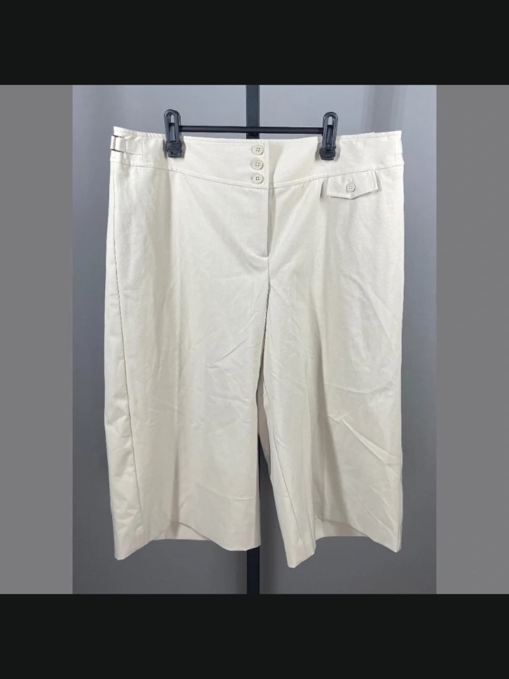 NEW Ann Taylor Loft Pants Womens 14 tan brown wide leg cropped preppy casual